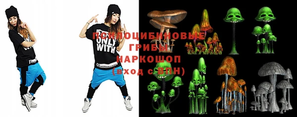 кокс Алексин
