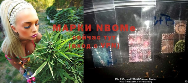 кокс Алексин