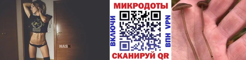 OMG ССЫЛКА  Динская  Галлюциногенные грибы GOLDEN TEACHER 