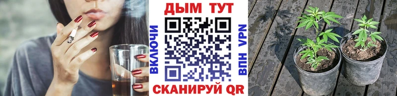 OMG ONION  купить  сайты  Динская  Бошки Шишки планчик 